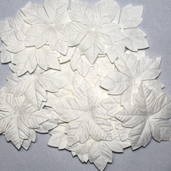 Papierblumen gezackt weiß 25 St. - Maulbeerpapier