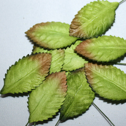 Blumenblätter grün 3 cm - 30 Stück - Maulbeerpapier