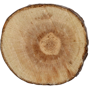 Holzscheiben - Sortiment 10-15 mm